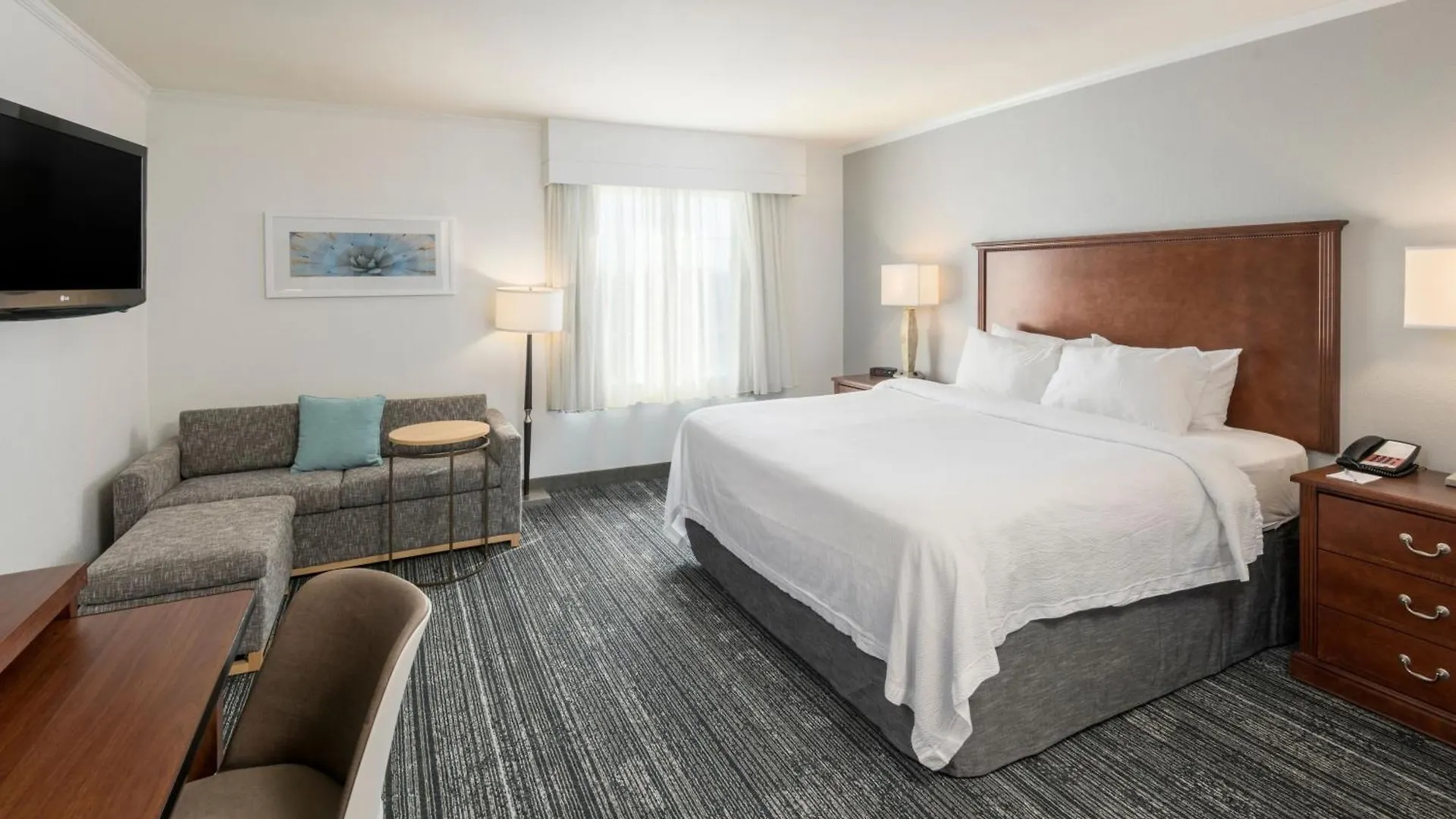 15 Cheap Hotels Close to Reid Park Zoo, Tucson